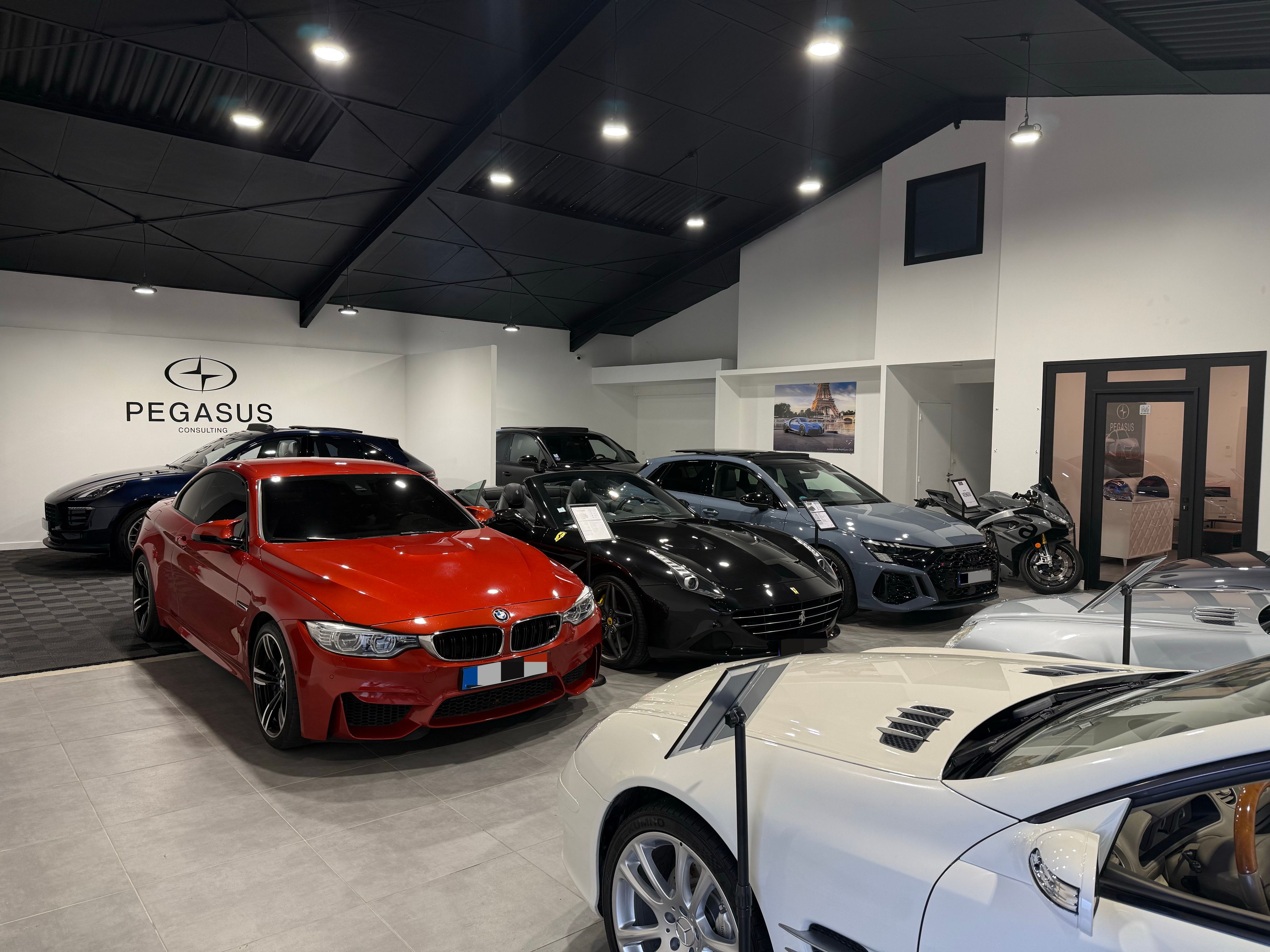 PEGASUS CONSULTING 31